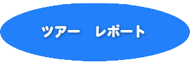 ツアーレポート