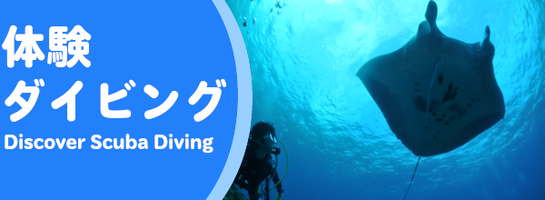 体験ダイビング