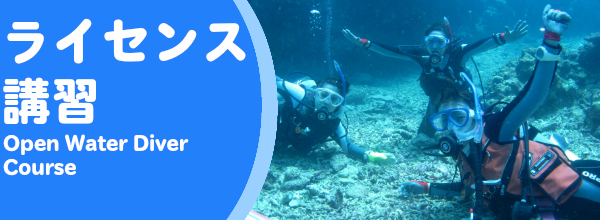 ダイビングライセンス講習