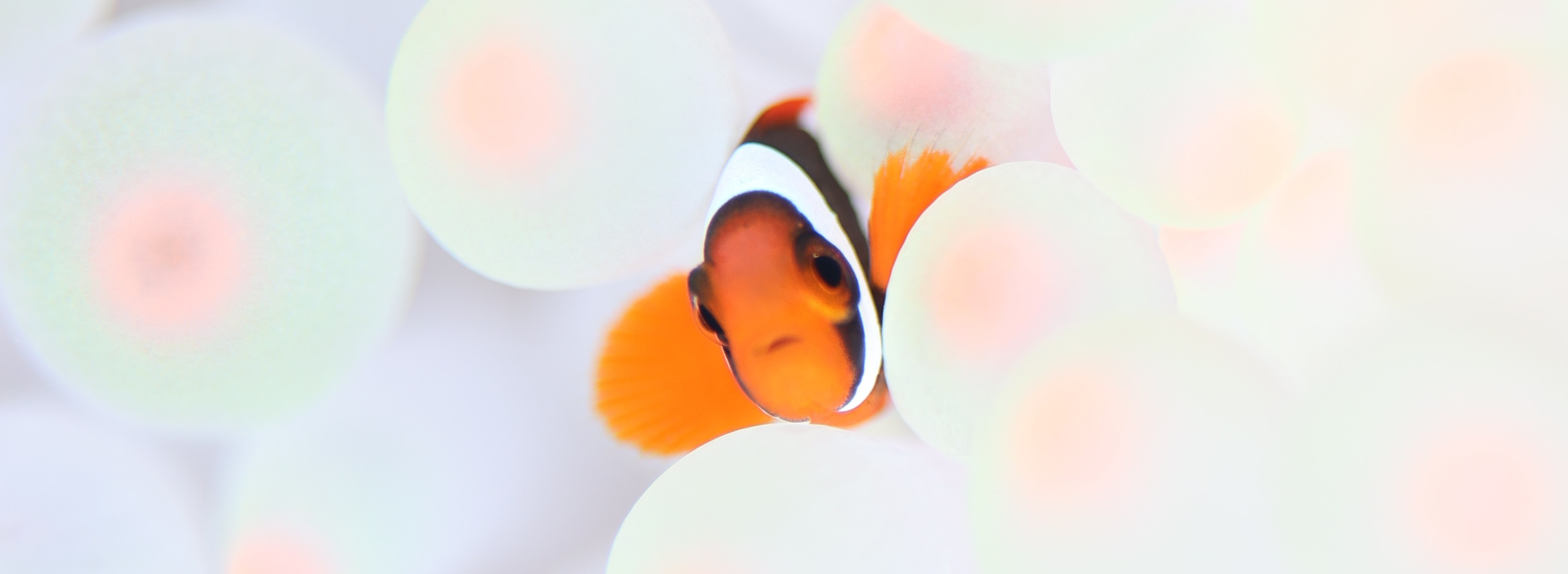 ブログ&ニュース