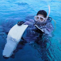 pj97.jpg